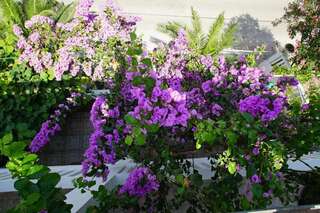 Апартаменты Penthouse StOliva Котор Апартаменты в пентхаусе-100