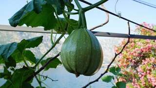 Апартаменты Penthouse StOliva Котор Апартаменты в пентхаусе-115