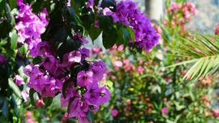 Апартаменты Penthouse StOliva Котор Апартаменты в пентхаусе-116