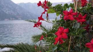 Апартаменты Penthouse StOliva Котор Апартаменты в пентхаусе-14